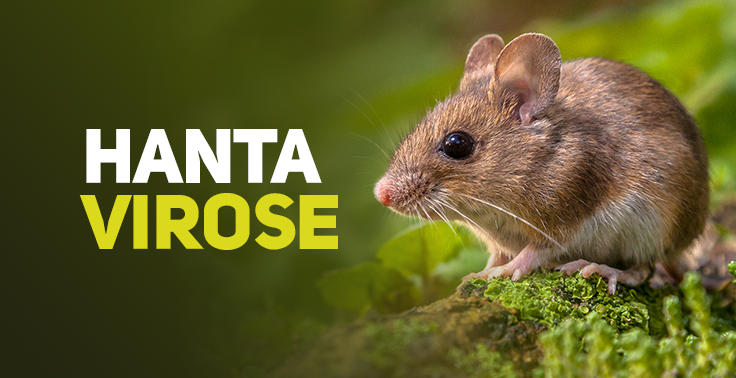 Imagem informativa de saúde com fundo verde em tom de vegetação. Do lado esquerdo, sobressaem as palavras HANTA em letras brancas e VIROSE em letras verde-amareladas. Do lado direito, um pequeno roedor silvestre de pelagem castanha e barriga clara está posado sobre troncos e musgos.