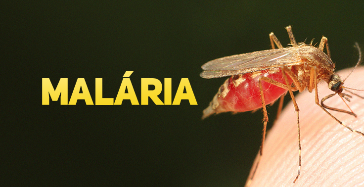 Imagem com fundo escuro contendo o texto Malária em letras maiúsculas e na cor amarela, posicionado no lado esquerdo. No lado direito, em plano detalhado, um mosquito pica a pele humana, com o abdômen translúcido preenchido de sangue vermelho.
