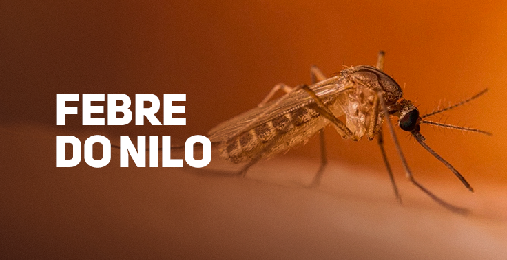 close-up de um mosquito picando pele humana, com o texto Febre do Nilo em branco ao lado esquerdo sobre fundo laranja envelhecido.