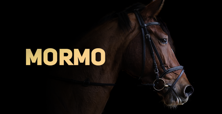 Imagem com fundo escuro contendo o texto Mormo em letras maiúsculas e na cor bege, posicionado no lado esquerdo. No lado direito, em destaque contra o fundo escuro, aparece de perfil a cabeça de um cavalo castanho usando rédeas e bridão de montaria.