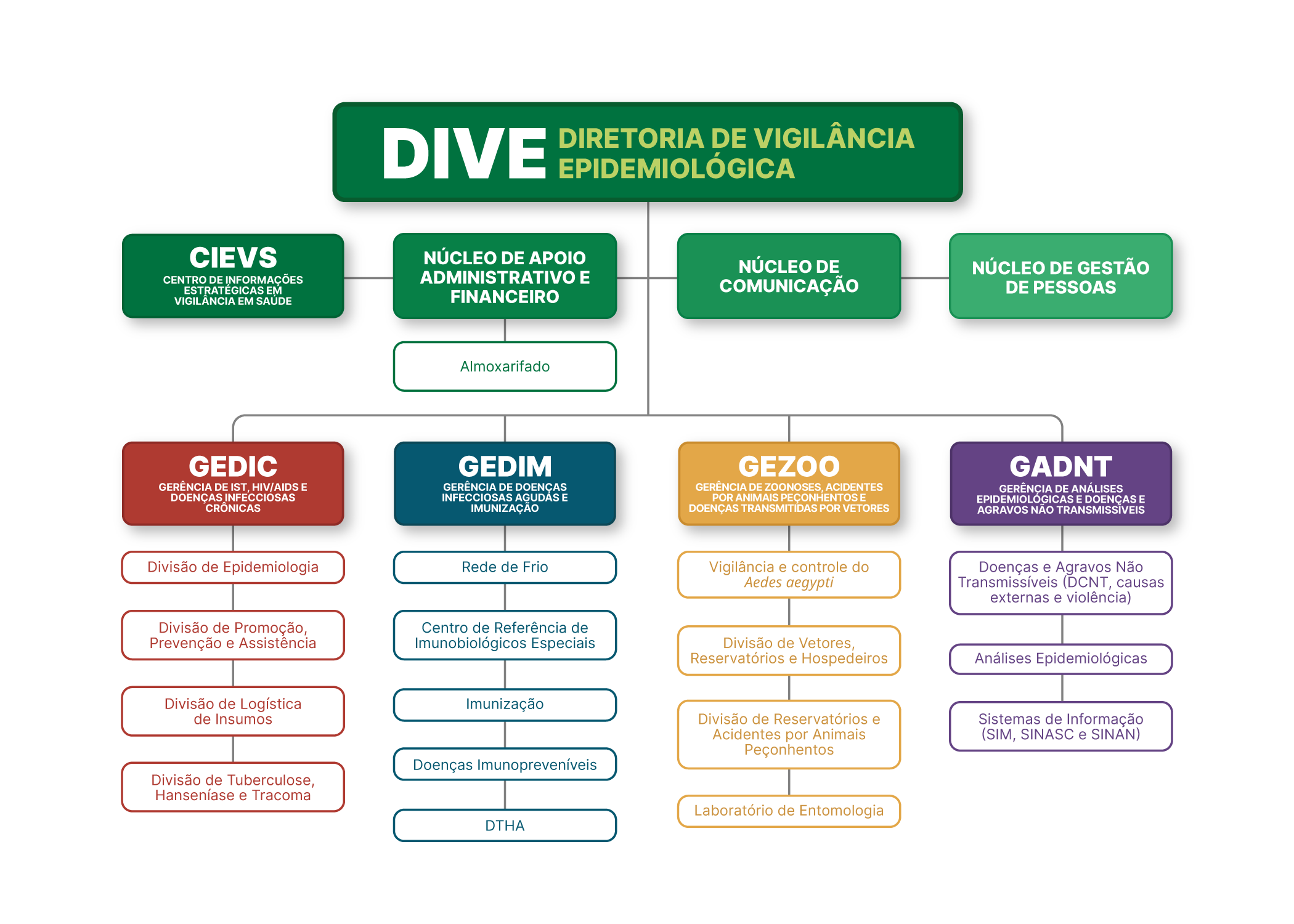 Fluxograma DIVE 2024