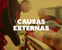 Causas Externas