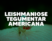 Leishmaniose Tegumentar Americana