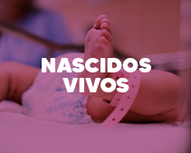 Nascidos Vivos em SC